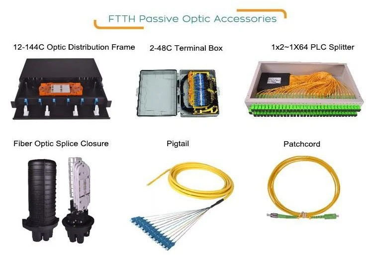 003-1