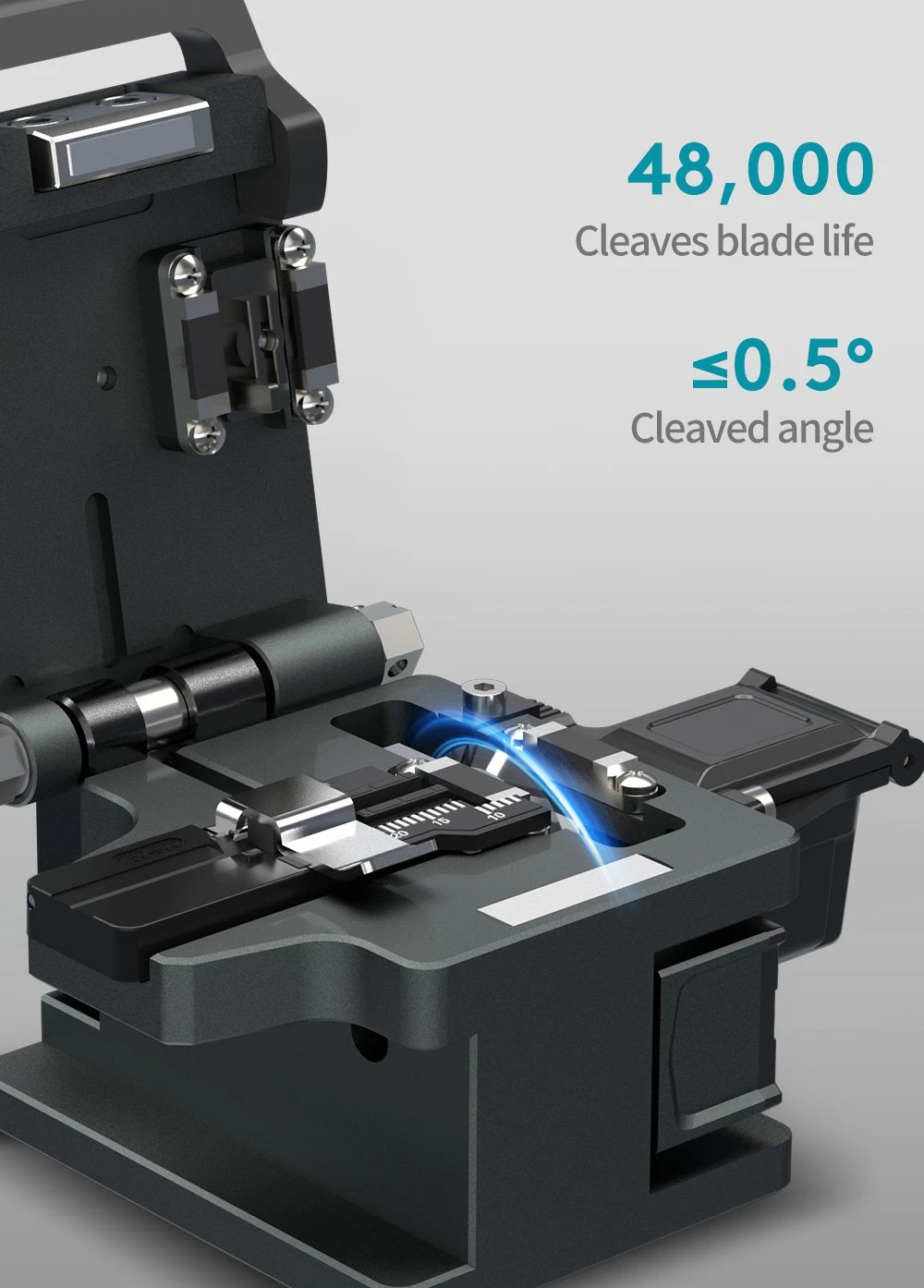 Cleaves Cleaves