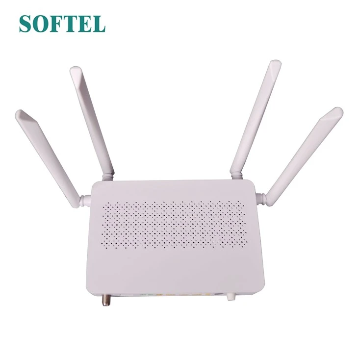 ONT-4GE-RFDW--1
